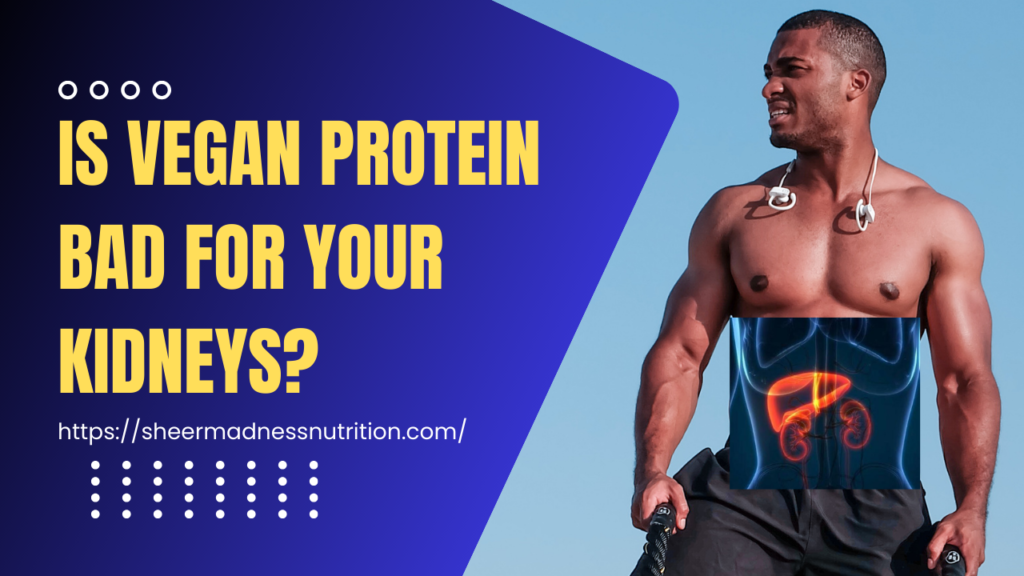 Is Vegan Protein Powder Bad for Kidneys?