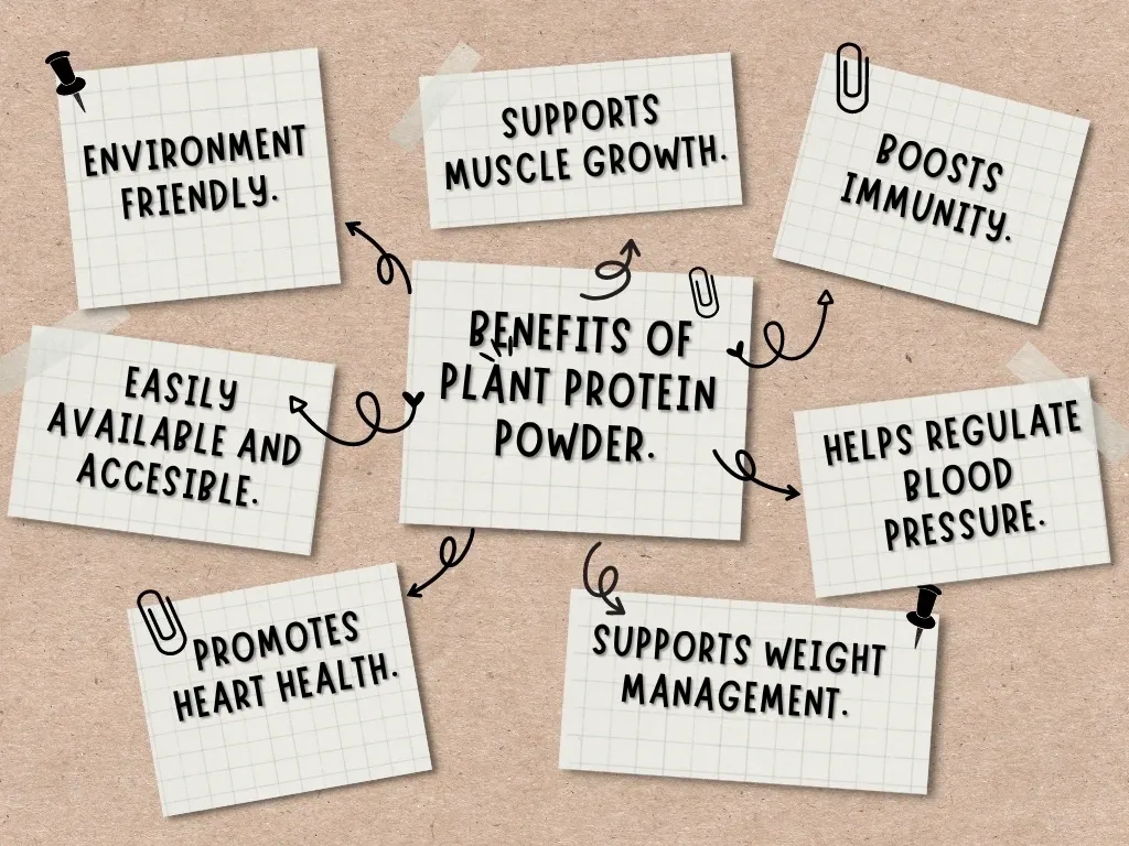 Benefits of Plant Protein. Benefits of Plant Protein Powder