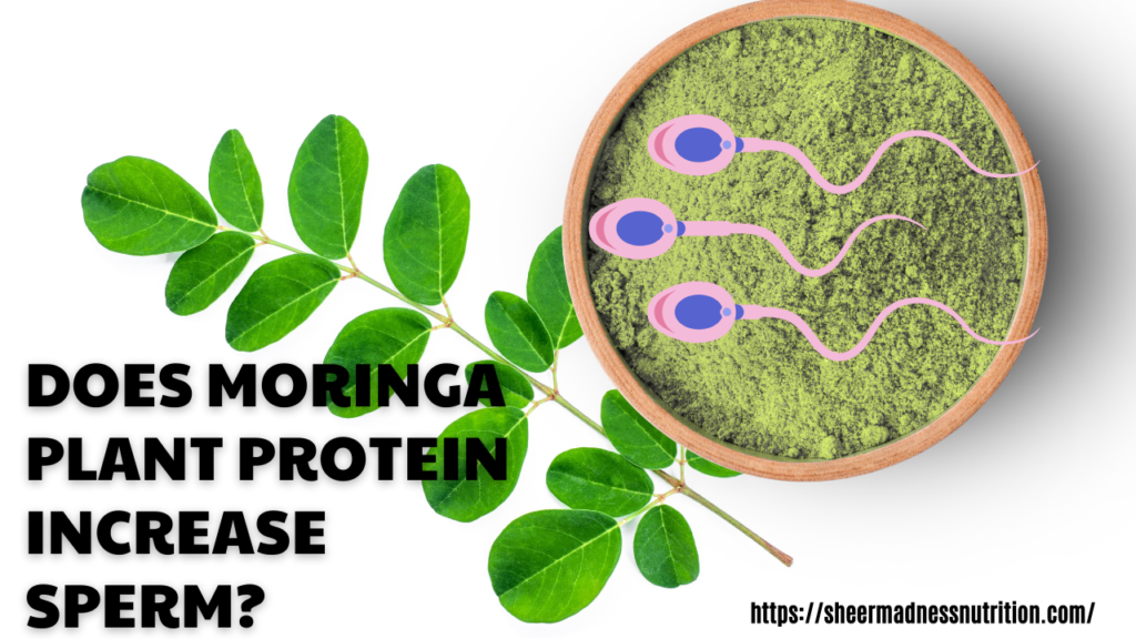 Does Moringa Protein increase sperm?