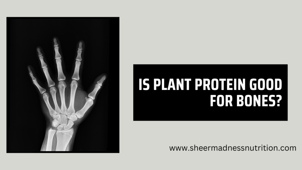 Is Plant Protein good for bones?