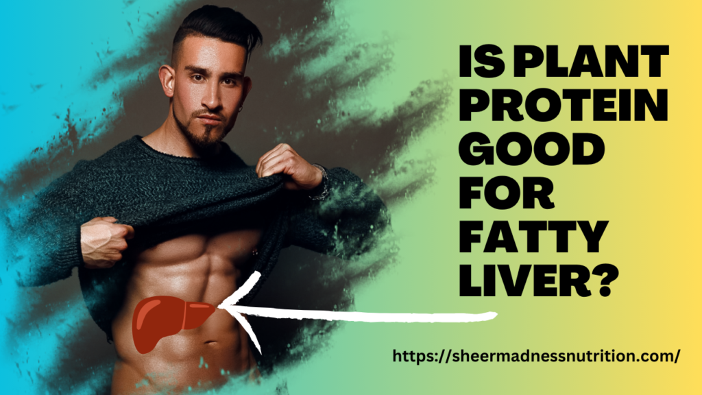 Is plant protein good for fatty liver?